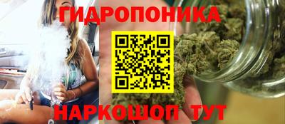 Альфа ПВП Анапа