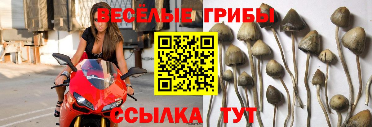 Галлюциногенные грибы ЛСД  Вход с VPN  Котельники  Галлюциногенные грибы ЛСД 